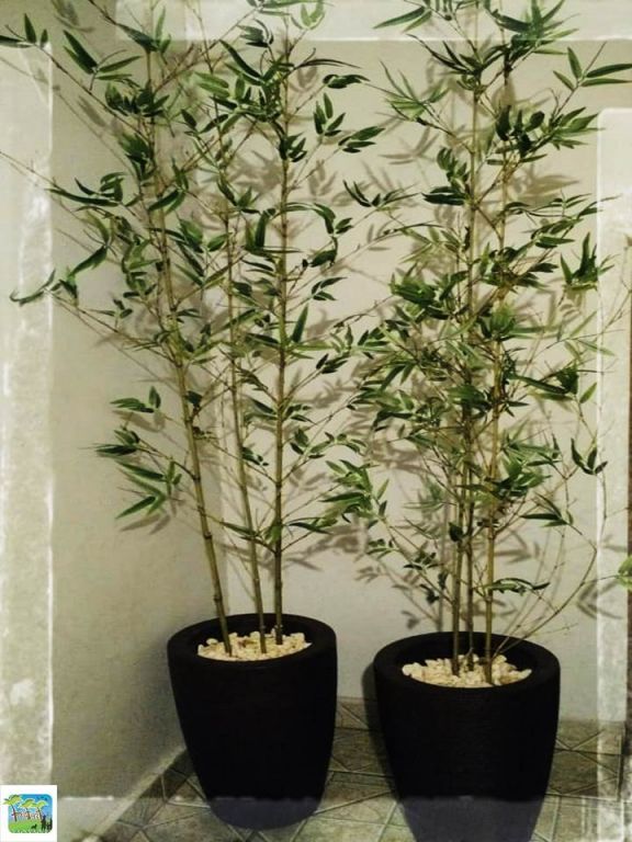Vasos com plantas artificiais de bambu - Produtos